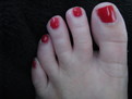 Shellac Wildfire - Day 4
